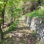 Il Noce Canzo