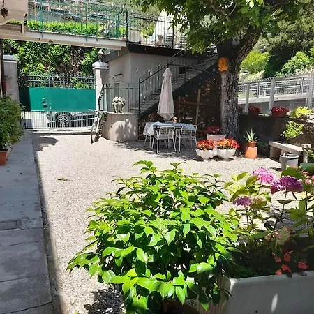 Il Noce