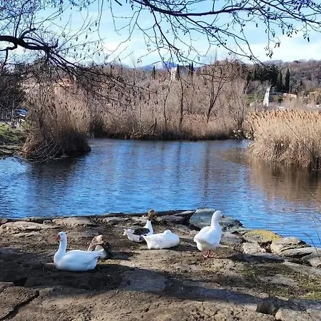 Διαμέρισμα Il Noce
