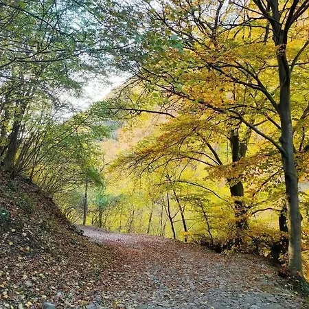 Διαμέρισμα Il Noce *