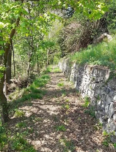 Il Noce Canzo