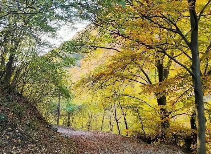 Апартаменты Il Noce *