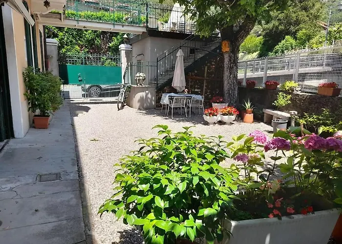 Il Noce